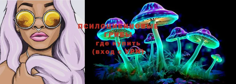 Галлюциногенные грибы Cubensis  Закаменск 